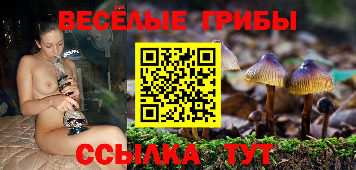 дарнет шоп  Галлюциногенные грибы Cubensis  Вход с VPN  Шебекино 